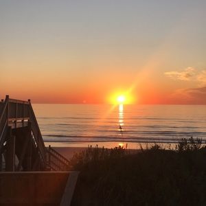 Meet your Posher, Carly